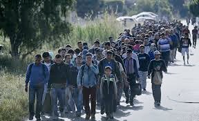 paddymacc1's tweet photo. If all these male migrants entering Ireland are true asylum seekers looking for a better life, how come they left their womenfolk behind them to fend for themselves in the same circumstances that they are supposedly fleeing https://t.co/gCaPWVPLfc