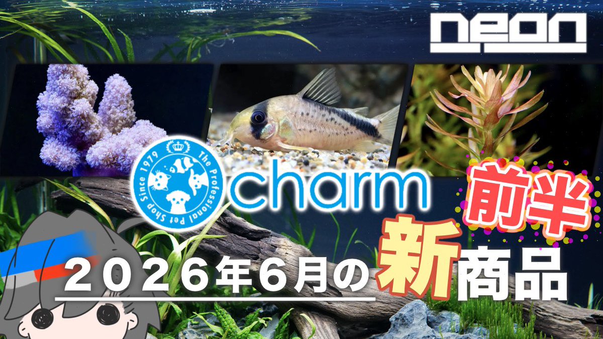 ne0n_aqua's tweet photo. 【ne0nが選ぶ！charm６月前半新商品】あの人気ロタラも…？夏に向けて大量ラインナップ！【 ne0n 】 #アクアリウム

https://t.co/dBqo8PlRHK

今月は前後半になります！
新商品ラッシュですわ💨 https://t.co/ZmuID0X59M