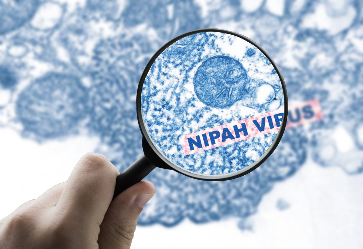down2earthindia's tweet photo. Kerala has learned how to contain Nipah quickly. But it still does not know exactly how the virus keeps spilling over.

A 43-year-old man from Kozhikode is critically ill with a suspected Nipah infection, triggering contact tracing and containment measures.

Since the first outbreak in 2018, Kerala has built one of India’s strongest outbreak response systems. Yet scientists still do not know the precise route through which Nipah moves from fruit bats to humans, writes @KAShaji123 .

https://t.co/Hm4pQ5rHTm

#NipahVirus
#Kerala
#Kozhikode
#PublicHealth
#OneHealth
#ZoonoticDiseases
#FruitBats
#DiseaseSurveillance
#EmergingInfections
#OutbreakPreparedness