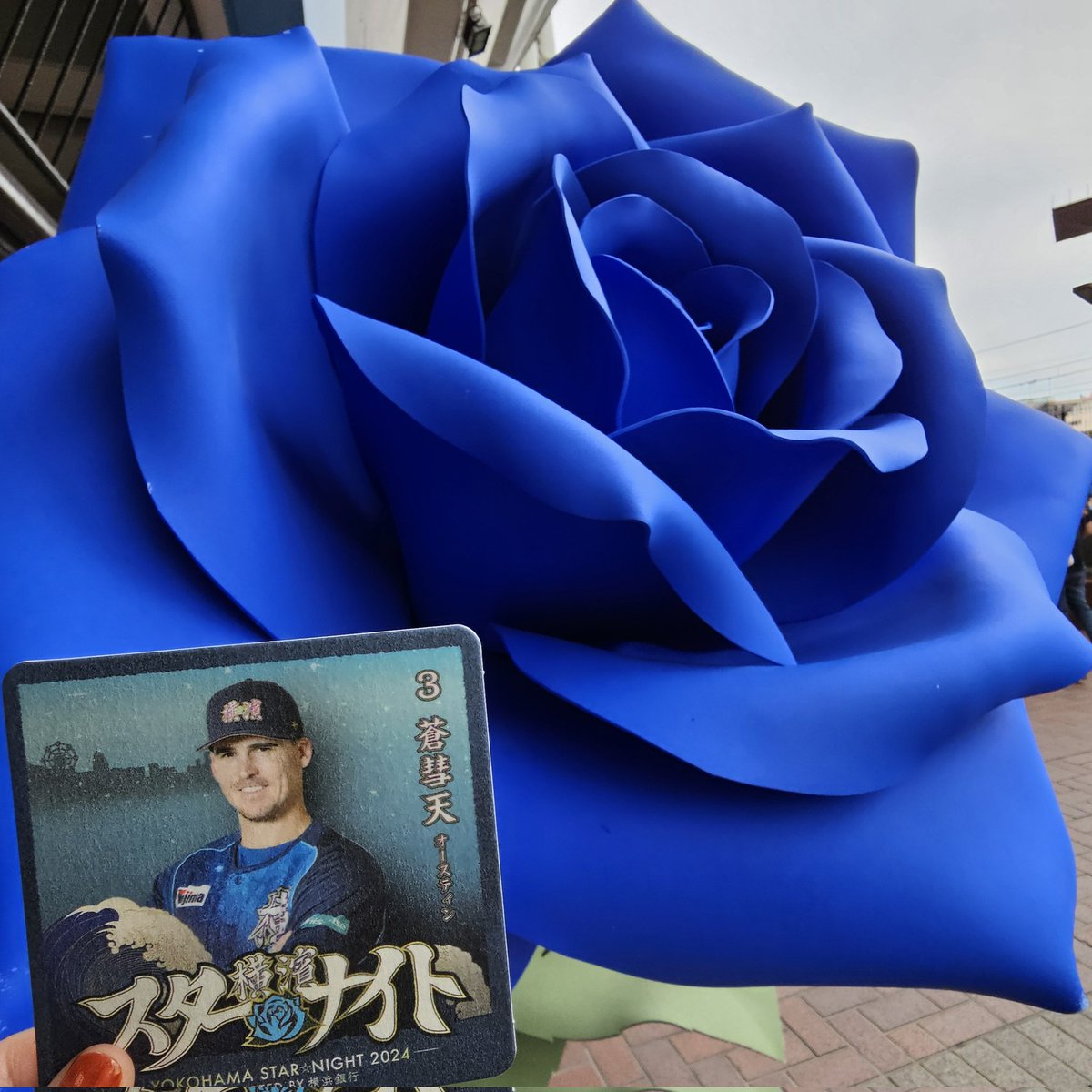 nikaidooil's tweet photo. ベイスターズとの楽しかった思い出を見て癒されようと過去のカメラフォルダ見てたら、2024年のスターナイトのオースティンのサヨナラまで遡ってました。
明日はそんな試合になるかもしれんし、諦めんで！
#baystars https://t.co/y5vUHmcxxP