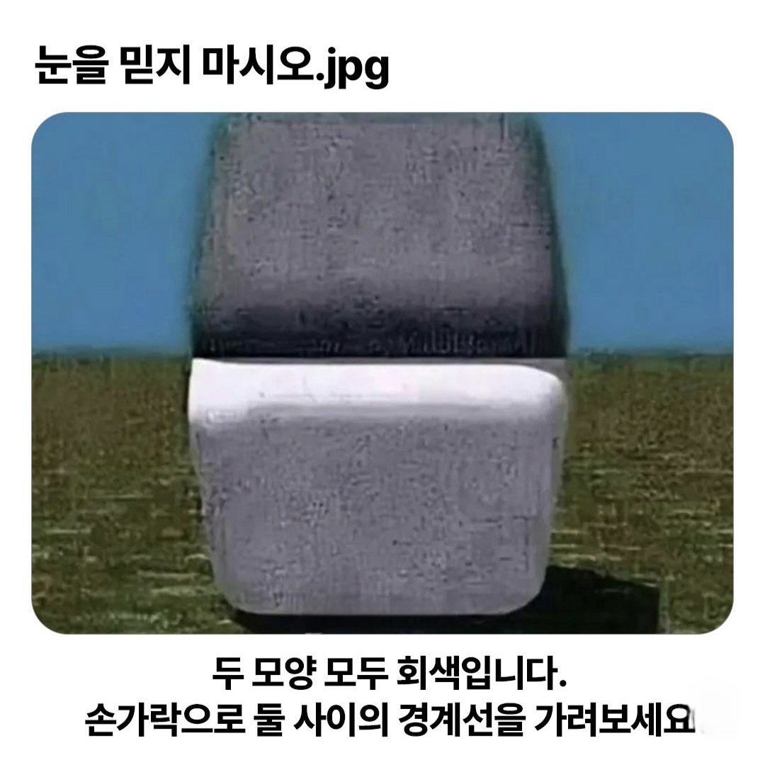 gurmi0526's tweet photo. 손가락으로 둘 사이의 경계선을 가려보세요!
깜짝 놀라실걸요😄 https://t.co/D2fajAnlD0