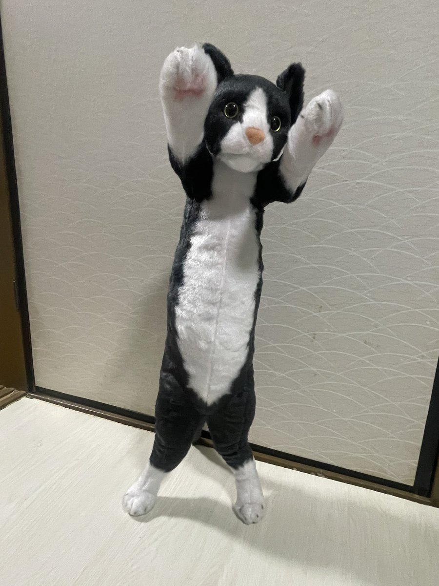 sakuya8906's tweet photo. あまりにもナス過ぎてうっかり買ってしまった…
でもなんだかナスが帰ってきたみたいで、3匹いるみたいでなんか幸せな気持ちになるからヨシ！
死んでも愛しい、チキちゃん来てからも君を思い出さない日はないよ、毎日心の中で名前を呼んでるよ https://t.co/0bSEggHcTg