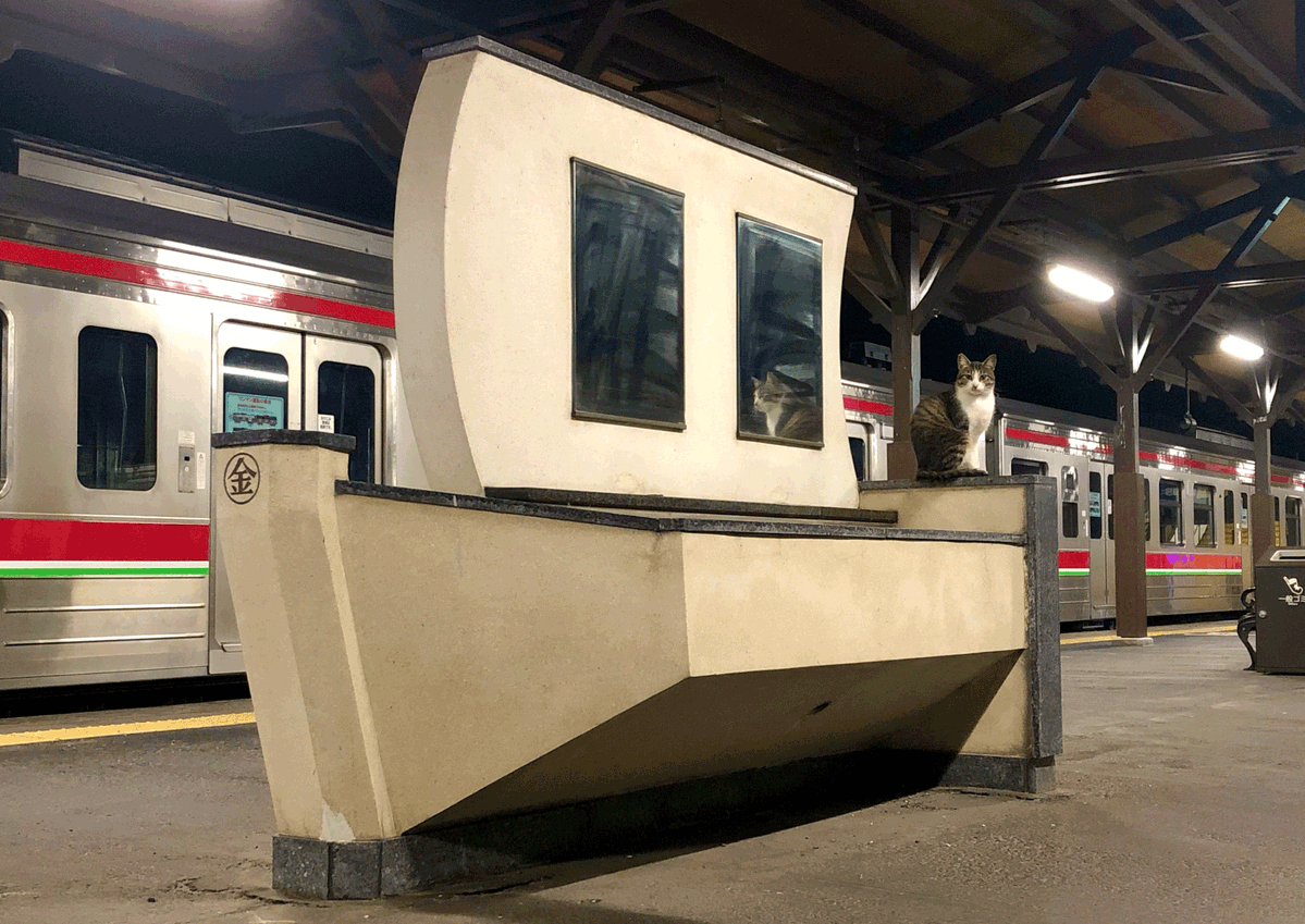 Cheer_KIKAKU's tweet photo. 終電近くの琴平駅、船に猫住んでて神✨
ﾈｺと和解せよ https://t.co/TNPdzNJ5Fc