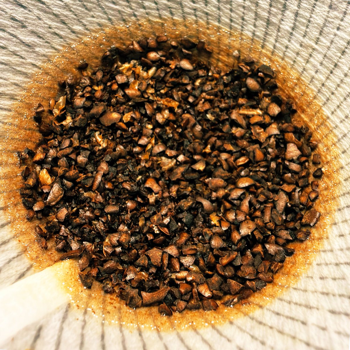 sheepwing_5's tweet photo. 今日の特異点。(1:25)
昼に投稿出来ていなかった。
#coffee #PHILOCOFFEA #012RudderBlend #HARIO #V60NEO #CAFEC #AbacaFilter https://t.co/p0tbmCnsrZ