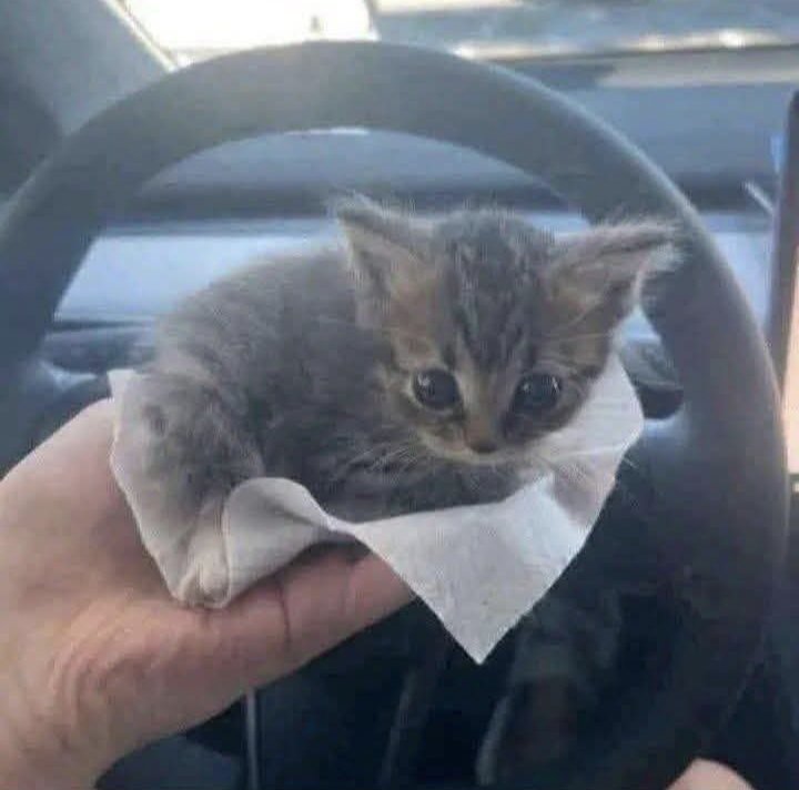 Jassmini2's tweet photo. You have to name him the last thing you ate. https://t.co/CSUFZL4YIP