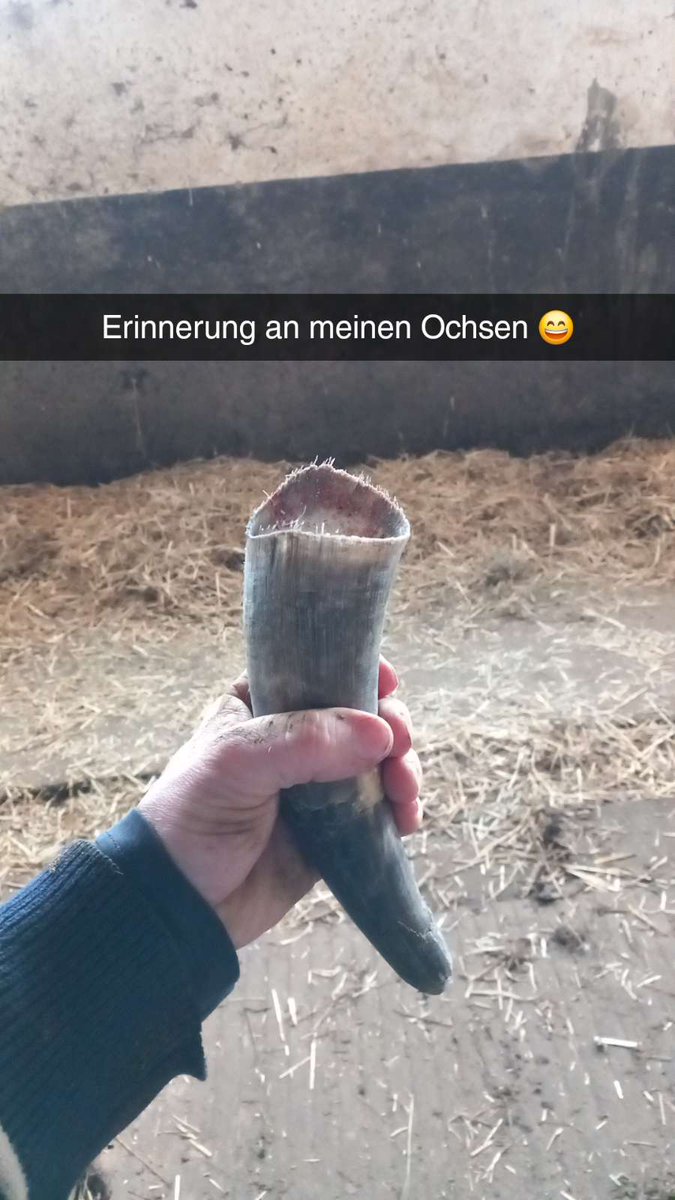 Zement92's tweet photo. Ochse Zorro hat für immer etwas hinterlassen, und zwar nicht nur etwas, was in Wursthaut steckt 😅
Werd mich immer dran erinnern, wie ich mit dir 2km heim gegangen bin, nachdem du davon gerannt bist, wenn ich "in dir" Blumen an der Wand habe 😄😘 https://t.co/X432TSEsYH