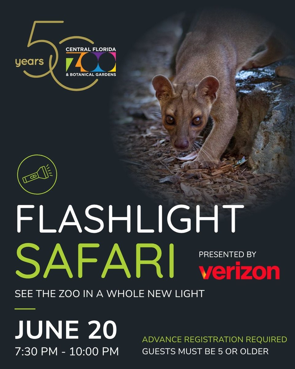 Centralflzoo's tweet photo. 🔦 See the Zoo in a whole new light on our Flashlight Safari, June 20!

In an after-hours experience like no other, guests will explore the Zoo on a guided flashlight tour. 
Be there at 7:30 PM. Reservation required. Presented by Verizon.

Tickets at https://t.co/XoWJR68STy https://t.co/FP8YqX1hrz