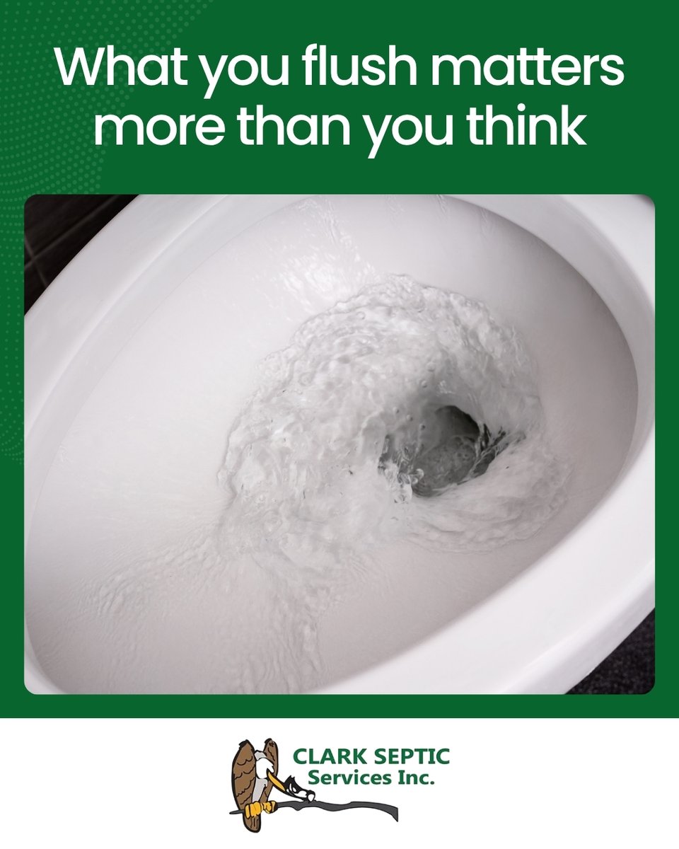 ClarkSepticFL's tweet photo. Only human waste and toilet paper should go down the drain. Grease, wipes, and chemicals can disrupt your system and cause long-term damage. https://t.co/xfrQ2YCmei