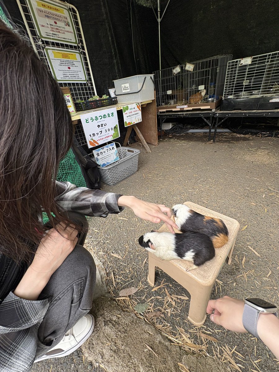 ho_d07's tweet photo. 自然デート楽しかった🍃☀️ https://t.co/5Br0omemEm