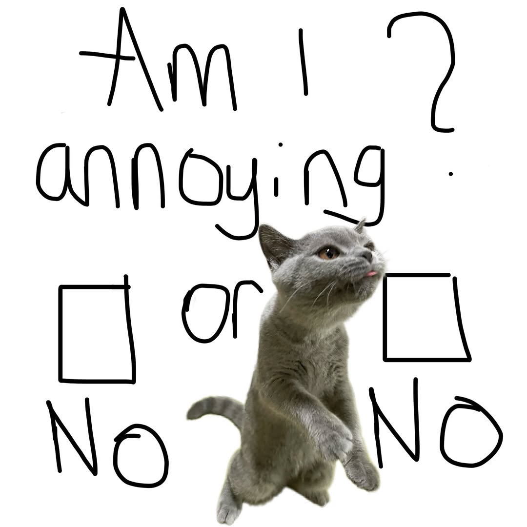 Catsillyness's tweet photo. Yes I am 😓 https://t.co/5ujyQttqRi