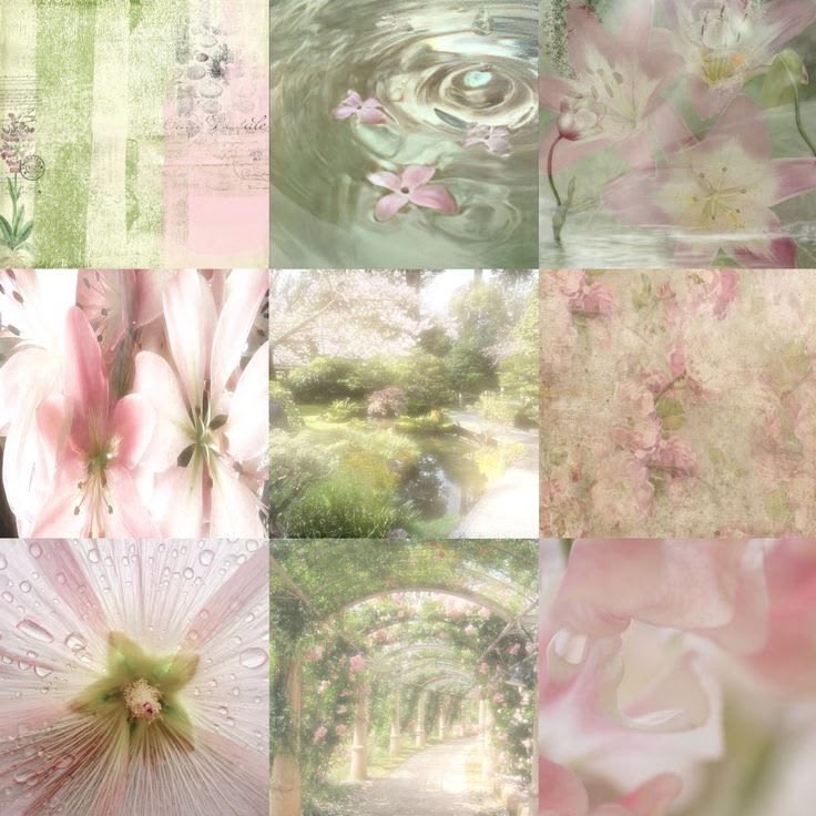 𖥻 ׁ ׅ 리틀 기니, 레이야 ⋆.˚ʚଓ tweet media