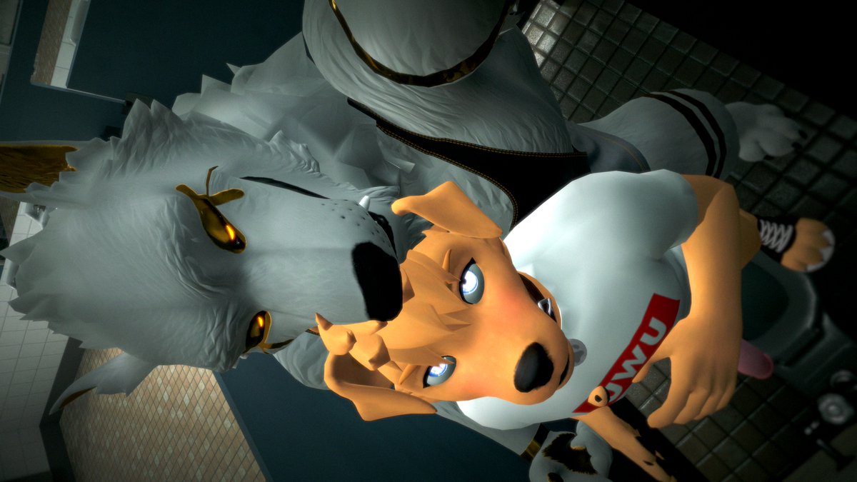 xfox64x tweet media