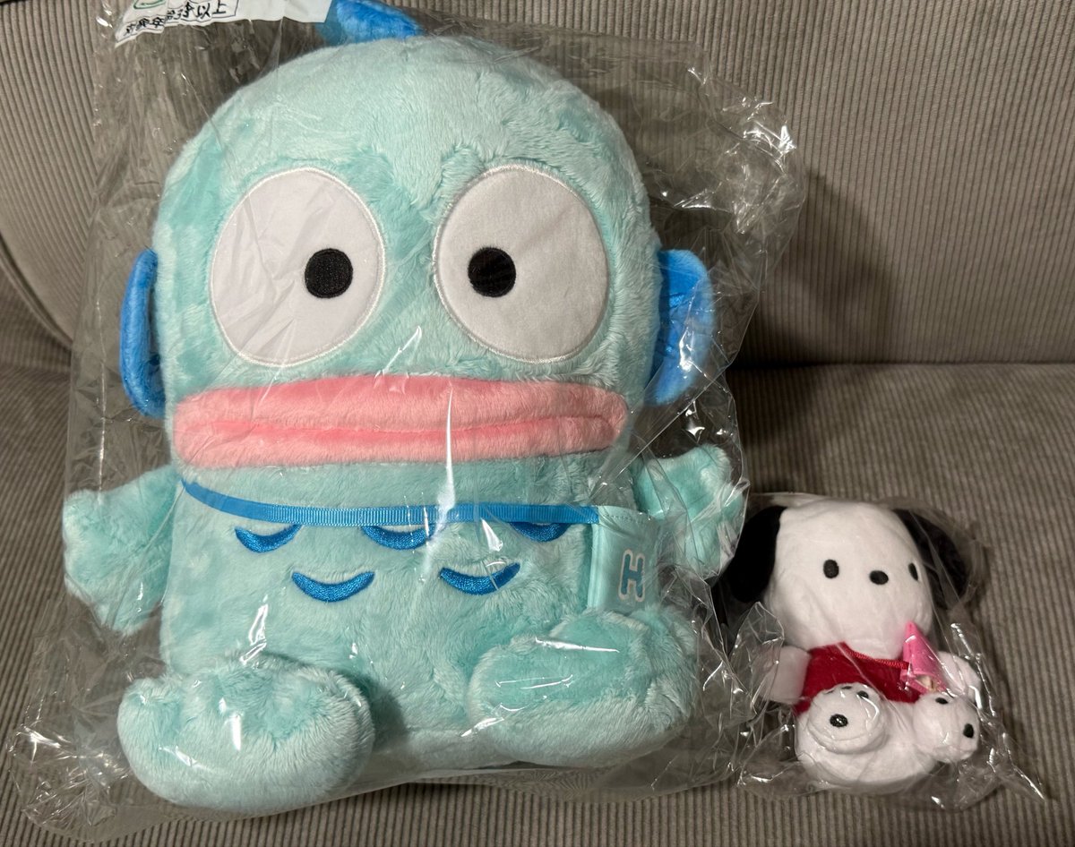 heyday103's tweet photo. 【交換】サンリオ はぴだんぶい 当たりくじ

【譲】
ハンギョドンぬいぐるみ
ポチャッコマスコット　

【求】
同種ペックル

郵送または都内手渡し交換
リプにてお声掛けお願いいたします🙇‍♀️ https://t.co/5IXKUqDxns