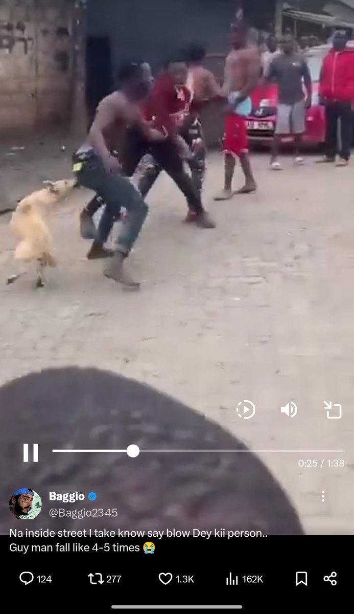 ChiwillOnChain's tweet photo. @Baggio2345 Na this dog be MVP 😂 https://t.co/sIYKUu70eL