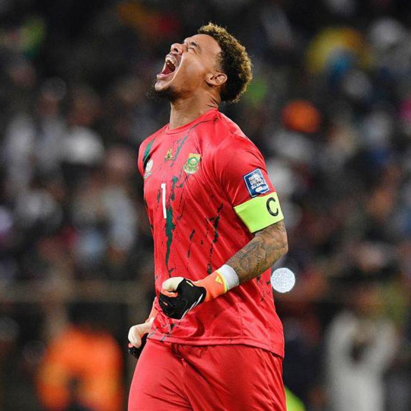 sane932's tweet photo. Le gardien de but de l'Afrique du Sud, Williams après la défaite contre le Mexique :

« Les Africains ont toujours soutenu les autres pays africains dans chaque tournoi de la Coupe du Monde, mais je ne comprends pas pourquoi notre cas est différent. Beaucoup d'Africains ont soutenu le Mexique, et non nous, les Sud-Africains.  Nous avons failli verser des larmes, mais c'est vraiment triste. En tant qu'Africains, soutenons-nous les uns les autres, unissons-nous. »