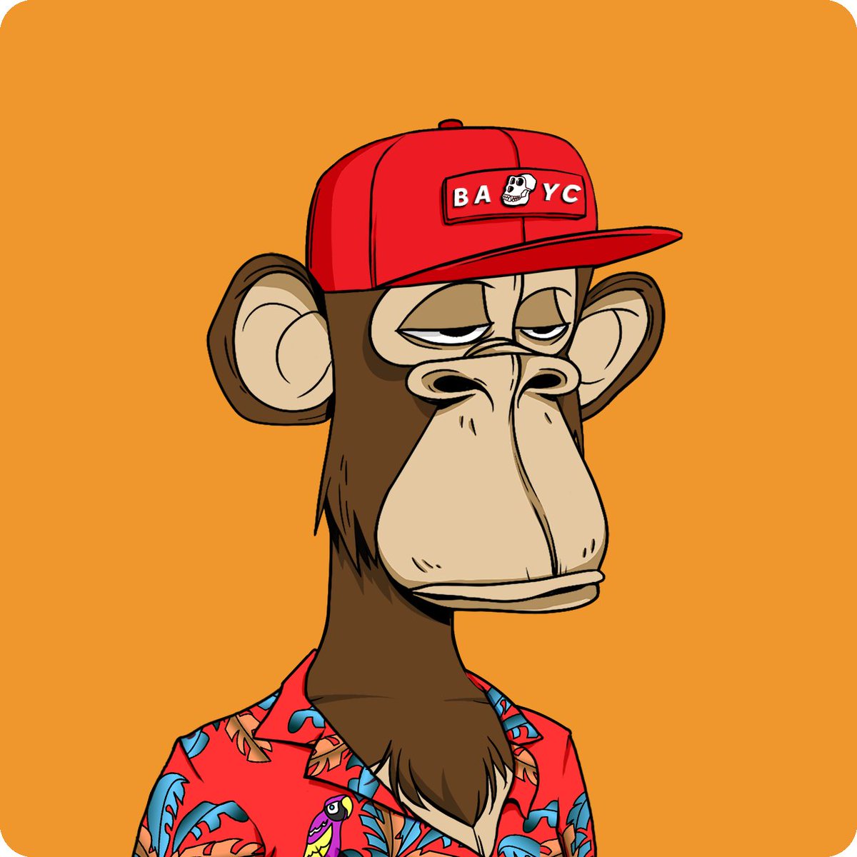 BAYC1K's tweet photo. "so you bought another ape because you had to have it"
"yes dave"
"but you haven't told your family as they won't understand"
"that's correct dave"
"and you think that's a smart move?"
"bored ape yacht club" https://t.co/aylaA28yQl