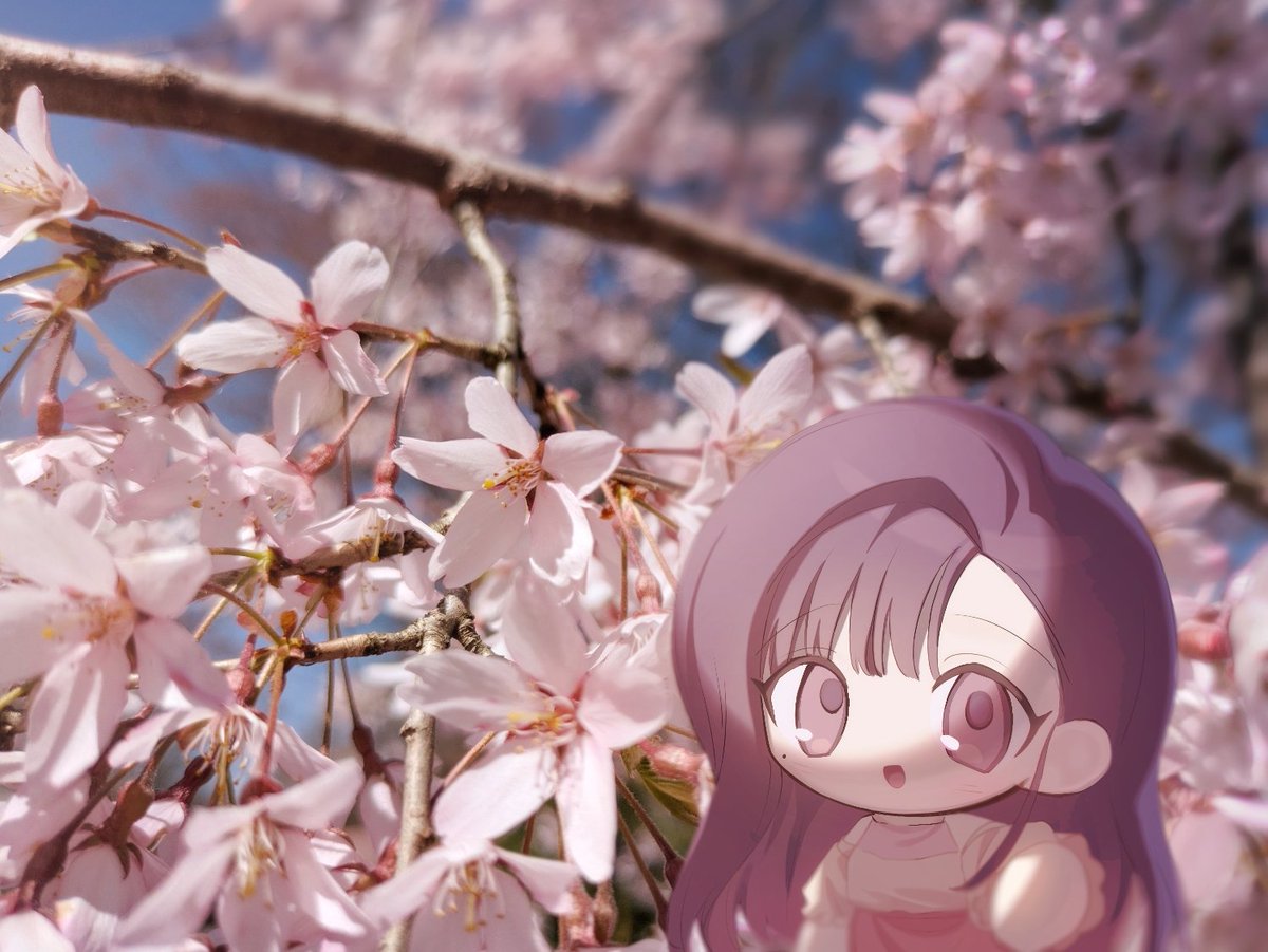 uematsu0's tweet photo. 02🌸 https://t.co/lK4IWu3uXS