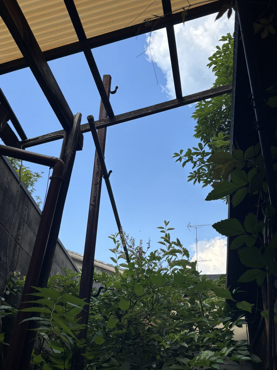 DuoJet9's tweet photo. この間は酔っ払って帰路を裸足でアスファルトの道路を歩いていたのだけれど普通に痛かったしすぐ靴履いた。
サンダル履いてたらまた裸足で歩きたくなるけれど今日はやらないガラスでも踏んだら嫌だから。明日本番。 https://t.co/XzKGaC6Jct