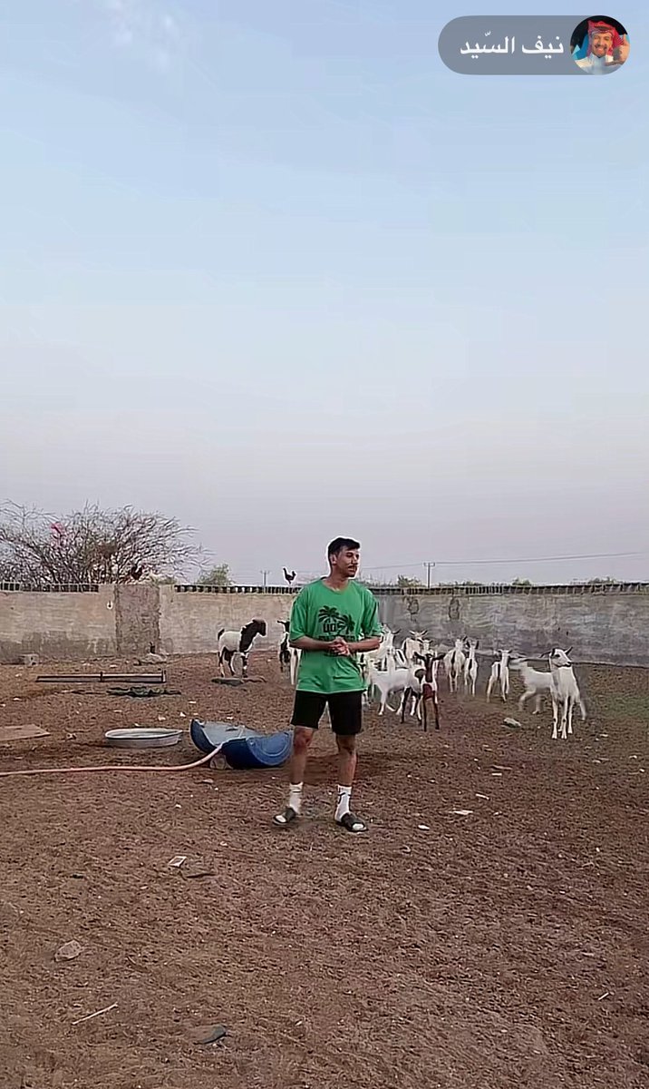 llliillliij's tweet photo. بدت الفعاليات😂 https://t.co/1KXHZDnRSe