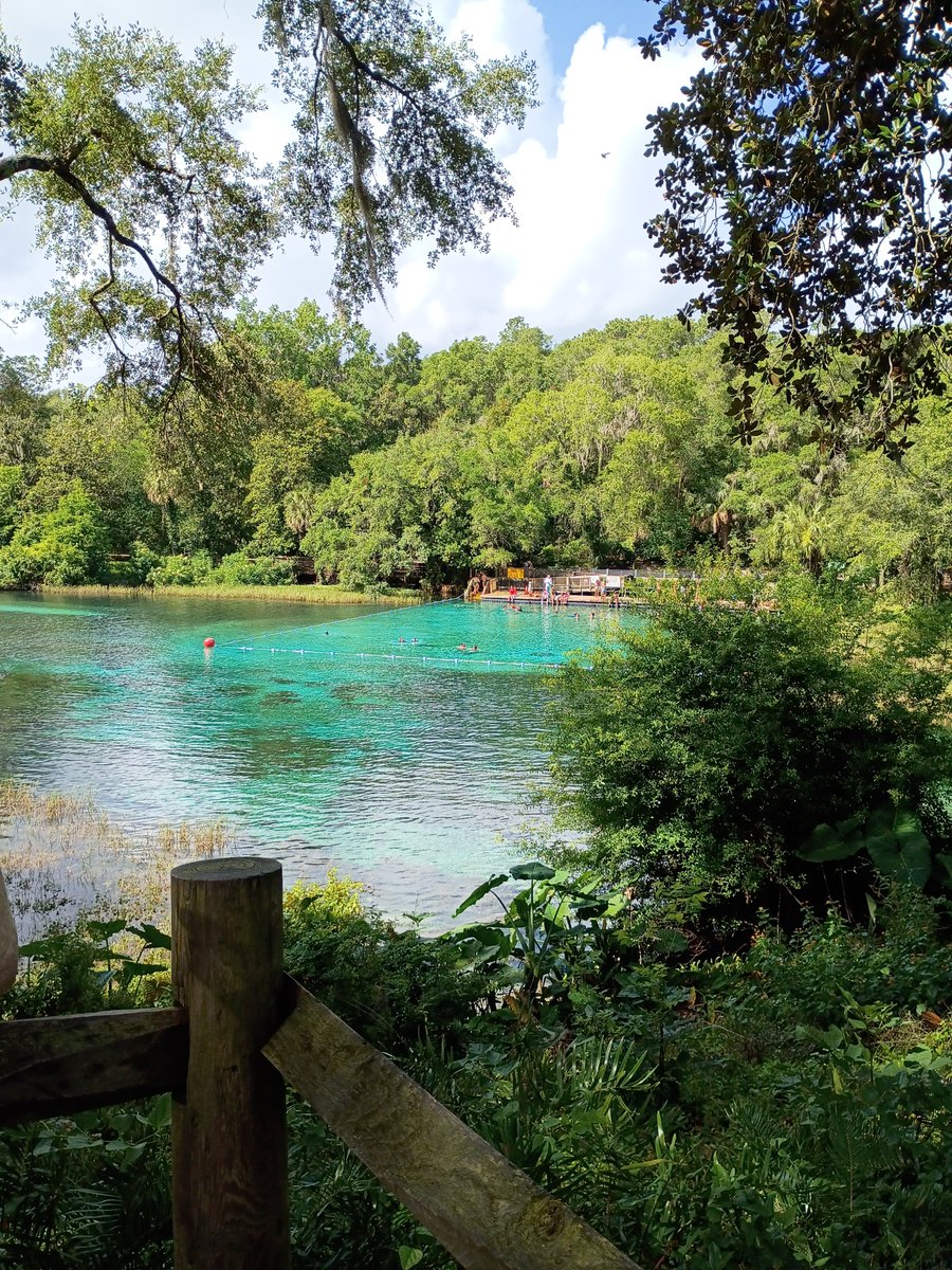 queenfelbee's tweet photo. Rainbow springs #outdoors #nature #bea https://t.co/vXaoFcLL5X