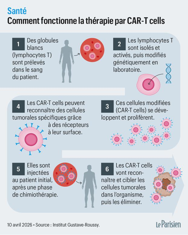 nicolasberrod's tweet photo. 7 000 patients en France ont déjà reçu des CAR-T cells, sorte de cellules "tueuses de cancers" : "Même au stade d’une maladie réfractaire, on est désormais capable de guérir. Une révolution thérapeutique." ⤵️ @le_Parisien

(Et vive la science !)

1/10

https://t.co/ZRB4r88QVv