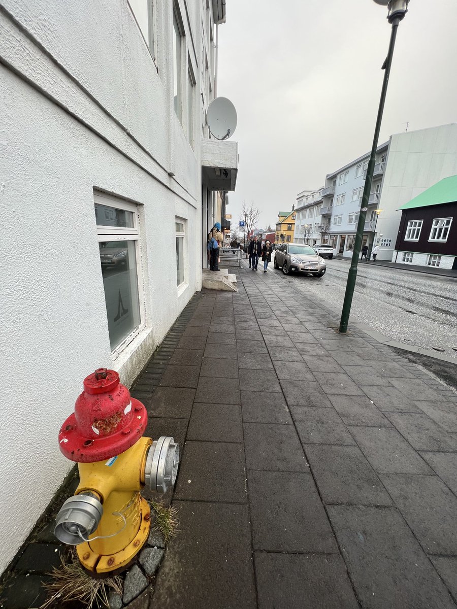 wapple15's tweet photo. Reykjavik ๐ฎ๐ธ #FireHydrantFriday https://t.co/ptUWKYQ8Te