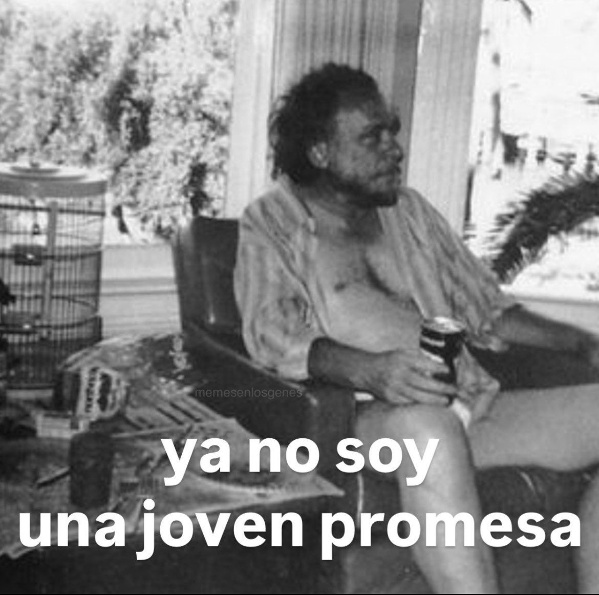 JaviFdez tweet media
