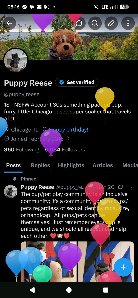 Puppy Reese tweet media