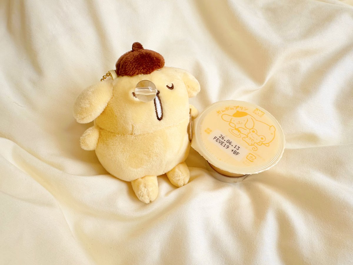 72x1oo_'s tweet photo. プリンくん！プリン食べたよ~🍮
#日常垢  #ぬいぐるみ https://t.co/kmuogtHSOF