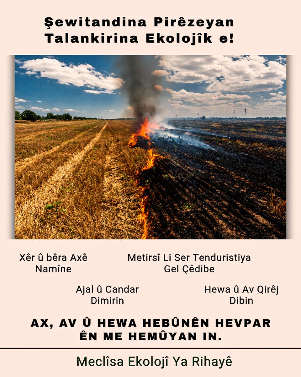 urfaekoloji's tweet photo. Şewitandina pirêzeyan şêweyekî xerakirin û talankirina ekolojiyê ye. Em wekî Meclîsa Ekolojî ya Rihayê ji bo parastina xweza, qadên jiyanê û hebûna me ya hevpar şewitandina pirêzeyan qebûl nakin. https://t.co/p1V74spKGy
