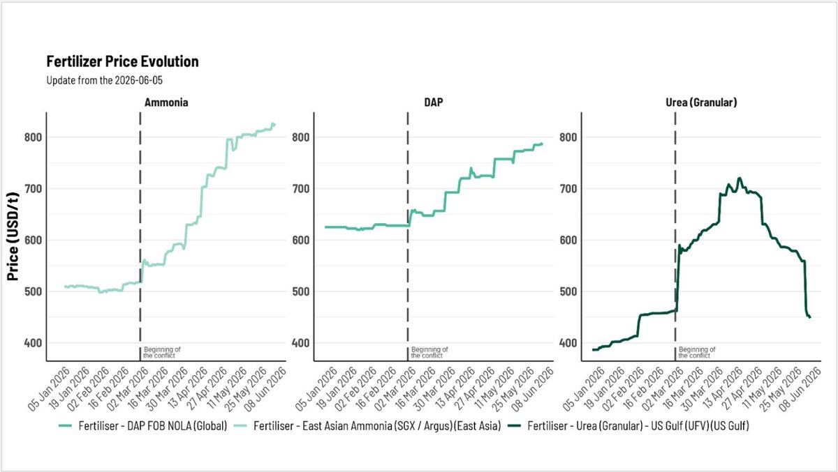 MaximoTorero's tweet photo. Urea prices, up 56% immediately after the Strait of Hormuz blockade began, have returned near pre-conflict levels. But the price decline may be a warning sign as farmers cut fertilizer use. Combined with a likely El Niño, this could reduce yields and push up food prices in 2027. https://t.co/GpIFp3Ye5b