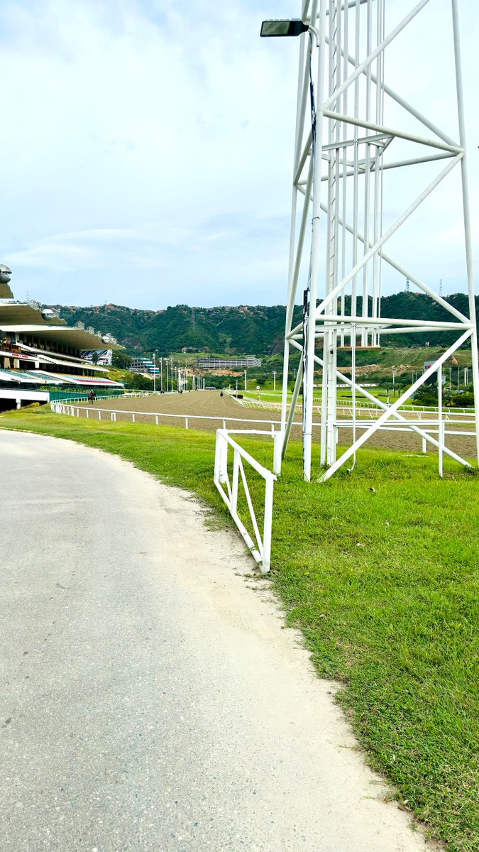 TopHipico's tweet photo. 𝗟𝗮 𝗥𝗶𝗻𝗰𝗼𝗻𝗮𝗱𝗮 🏇

#BuenHipismo https://t.co/R9VlPxgj7m