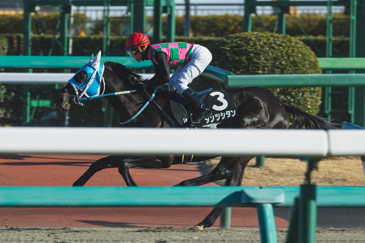 kawagoefa's tweet photo. 今週の出走馬

土曜日
阪神
7R
3歳上1勝クラス
ダンツシタン
太宰圭介騎手

日曜日
函館
7R 
3歳上1勝クラス
ムーンブランシュ
富田暁騎手 https://t.co/YJOFmZHsVA