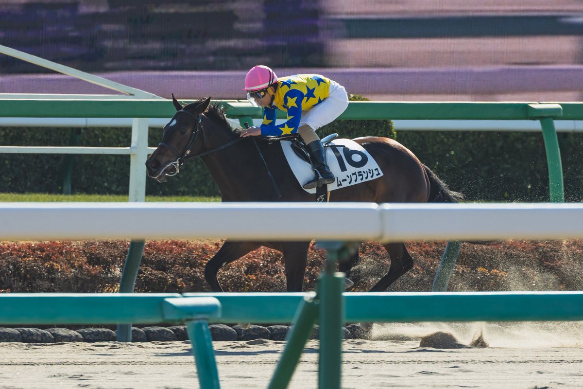 kawagoefa's tweet photo. 今週の出走馬

土曜日
阪神
7R
3歳上1勝クラス
ダンツシタン
太宰圭介騎手

日曜日
函館
7R 
3歳上1勝クラス
ムーンブランシュ
富田暁騎手 https://t.co/YJOFmZHsVA