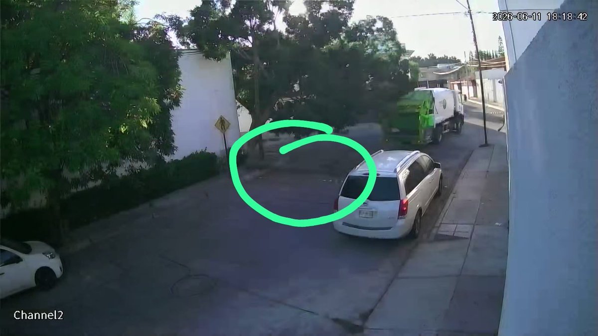 psaavedras's tweet photo. @RedAmbiental_Mx @ServMpalSLP en la calle Cordillera Grey, esquina Sierra Ventana, el día de ayer un camion de basura paso y tiro un árbol. (Seco) pero lo dejaron tirado a media calle, ya se acomodó para evitar accidentes, favor de mandar gente a retirarlo https://t.co/UENcUpcmhi