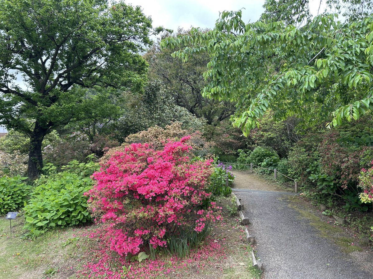 omoituki5a's tweet photo. 足利フラワーパーク最高だね https://t.co/6pul7ICqwk