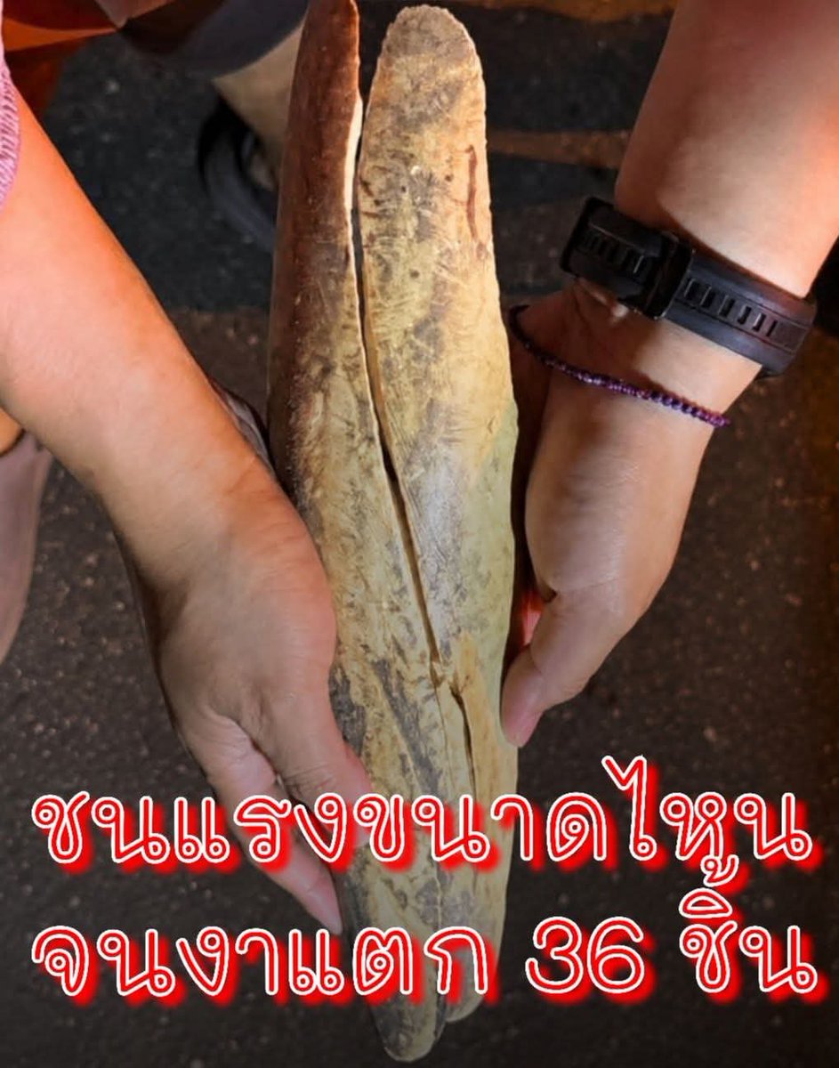 paichewee65779's tweet photo. * ป่าถูกแบ่งเป็นหย่อม
* แหล่งน้ำเปลี่ยน
* พืชอาหารลดลง
* มีสารเคมีจากพื้นที่เกษตร
* มีถนน มีชุมชน มีรั้วไฟฟ้า
* มีบ่วงดักสัตว์
* มีการล่า
* มีตะปูและสิ่งแปลกปลอมในพื้นที่เกษตร
* มีการผลักดันและปะทะระหว่างคนกับช้าง
#หลายบาดแผลที่ช้างต้องเผชิญในวันนี้
จึงไม่ได้เกิดจาก “ธรรมชาติ” เพียงอย่างเดียว
แต่เกิดจากที่มนุษย์เปลี่ยนระบบธรรมชาติ
ความโลภของมนุษย์ คือหายนะ ของสิ่งมีชีวิตทุกชนิด
#save ช้างป่า #สงสารช้าง
#ประชาขน คนรักสัตว์ มีจิตใจ เมตตา โด้โปรด ออกมาปกป้อง ป่า สัตว์ป่า ช่วยกันนะค่ะ🙏😭