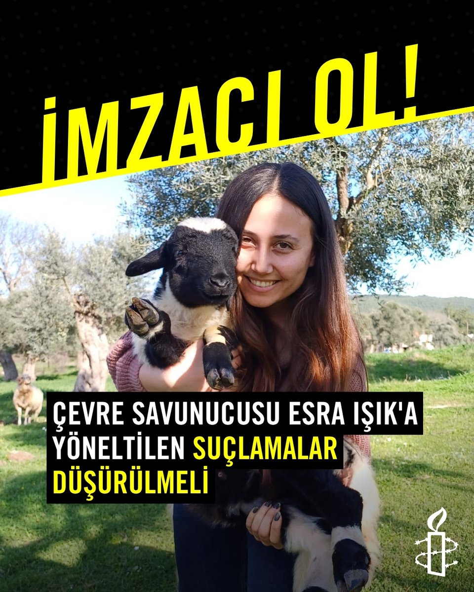 Amnesty Türkiye tweet media