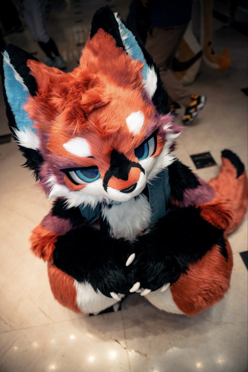 Randaeyote's tweet photo. 帶一隻小狐狸回家吧!
📷 @furamifurami 
#FursuitFriday #Fursuit #wwpass #万物通行 https://t.co/OfcFkGP6yU