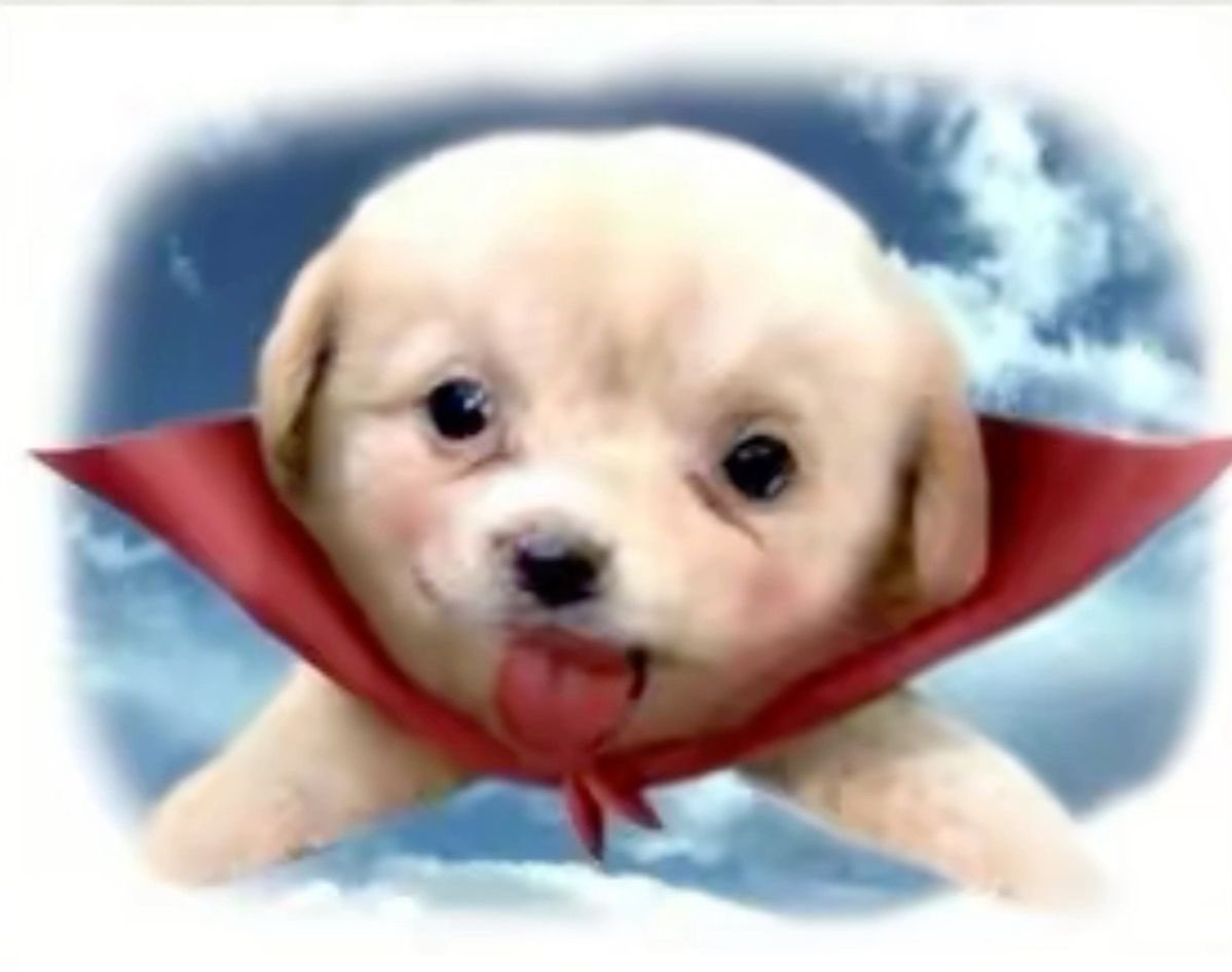 Calob2001's tweet photo. @poe_real69 GM
Best time to scoop some $GAEJOOKJotchua's primary friend is Gaejook (JH=0|),an old Korean meme dog from 2002 who was the mascot of a large Internet community.

5vB7VXTQ77U7tJZjdbXbjnkFgbh9ZP7UfsCRuU7Vpump https://t.co/coVENfoCs2