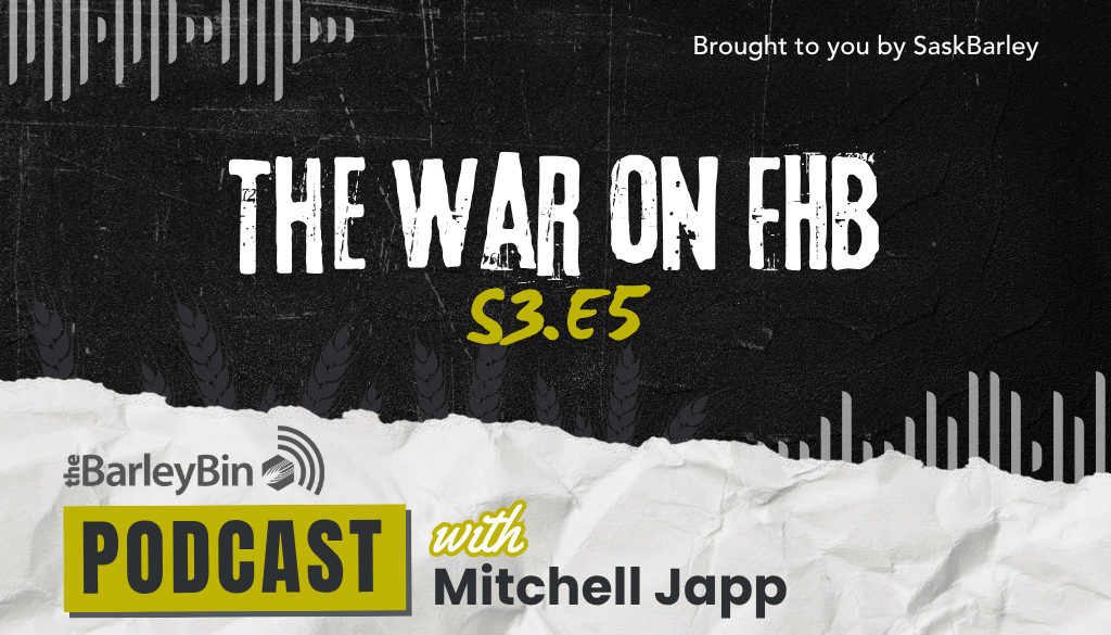 SaskBarley's tweet photo. We’re revisiting one of the most important crop disease topics in barley production: fusarium head blight.

In this episode, Mitchell Japp speaks with leading researchers about what’s changed since our first FHB episode, how management recommendations are evolving, and what growers should be watching now.

🎙️  https://t.co/f7wwHQBNO3

#SaskAg #AgPodcast #FusariumHeadBlight
