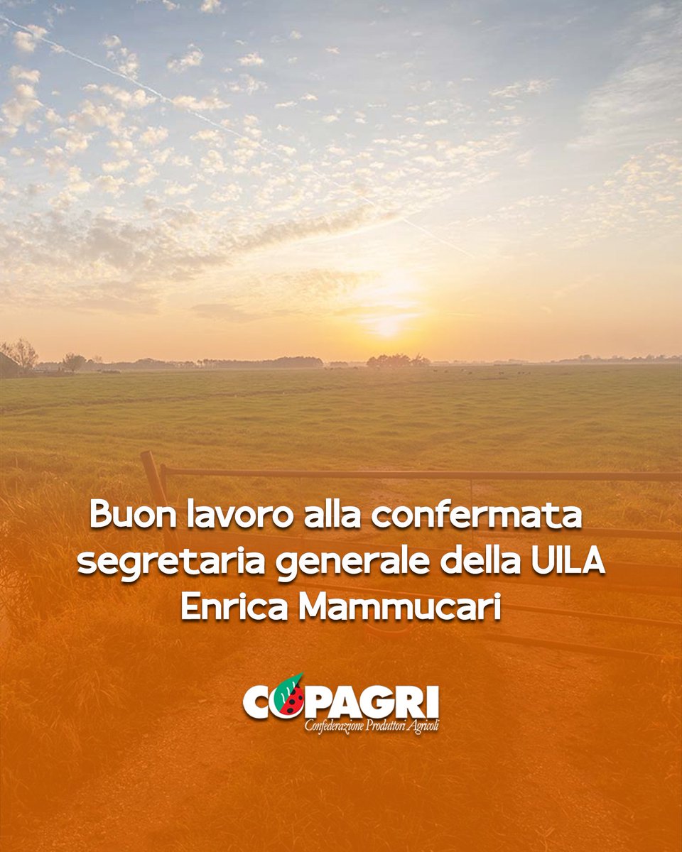 Copagri's tweet photo. #UILA: buon lavoro alla confermata segretaria generale Enrica #Mammucari.

#Battista, massima disponibilità a rafforzare sinergia tra sindacati e organizzazioni datoriali.

https://t.co/AGx2jksuL3 https://t.co/W292r2UMia