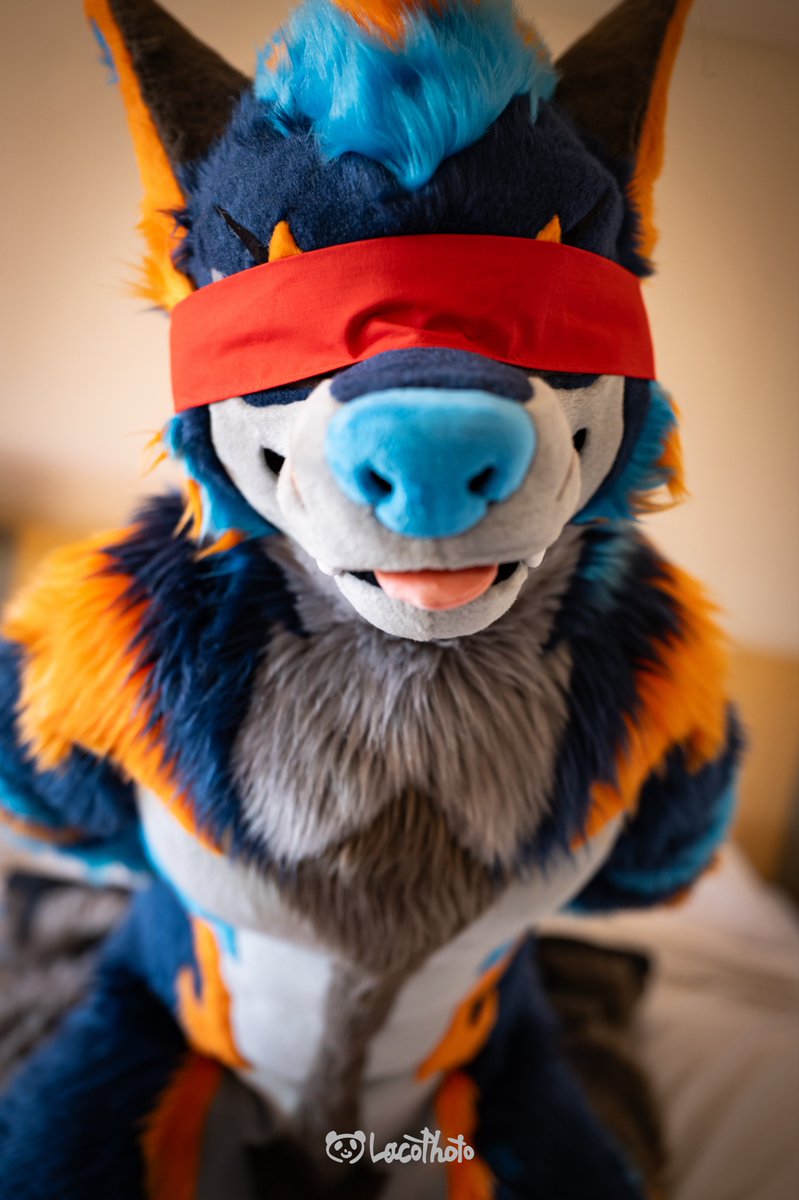 DuskonZeon's tweet photo. See

🐺 @DuskonZeon 
📸 @Lacotot https://t.co/4Qnh9GVfep