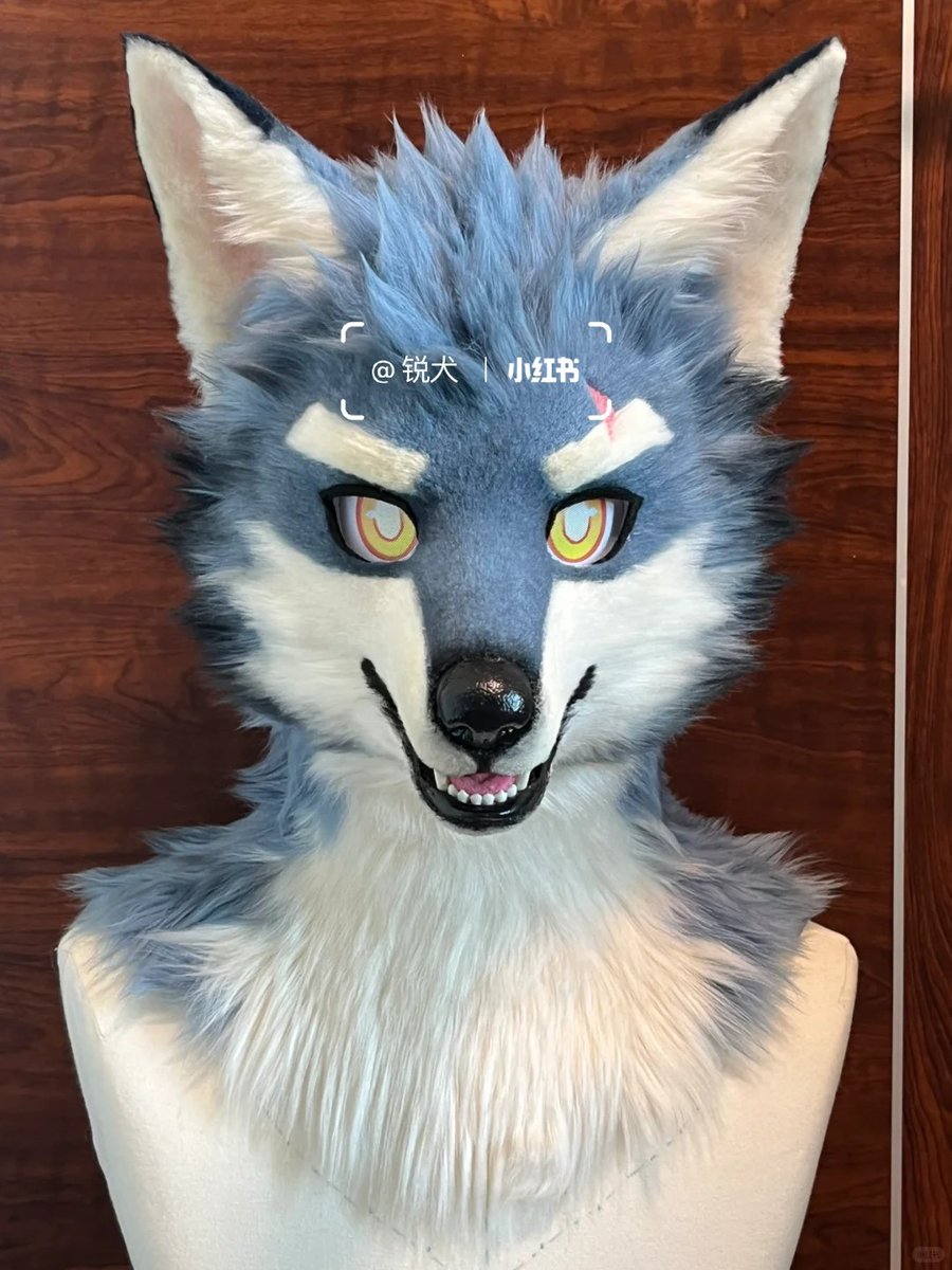 Rza_Zhou's tweet photo. 🐺嘿嘿也是有装的狼啦——
🧙装师/maker：锐犬@小红书/微博 https://t.co/b3hNdHbBpX