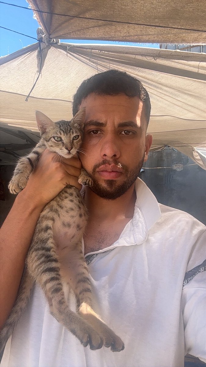 Mo7mmd30's tweet photo. We are still alive here in Gaza🇵🇸 https://t.co/b9Goo2s6Dj