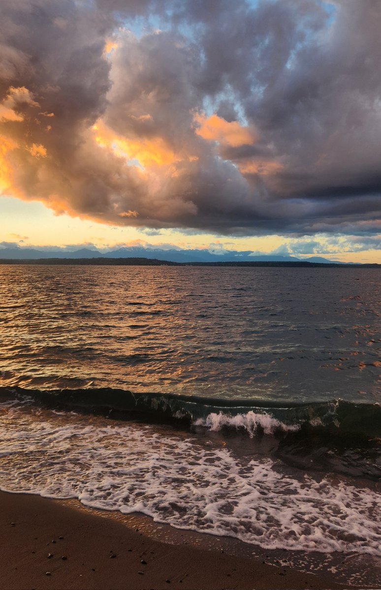 gentlystewed's tweet photo. @WayneMoranPhot0 Alki Beach Seattle https://t.co/Zdcmf8ak6j