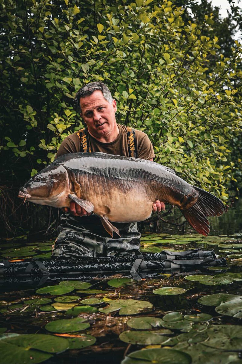 Vasswaders's tweet photo. Patience paid off 🎣🐟 What a beautiful carp! Worth every minute spent by the water. 
#CarpFishing #FishingLife #CatchOfTheDay https://t.co/scel1epoP3