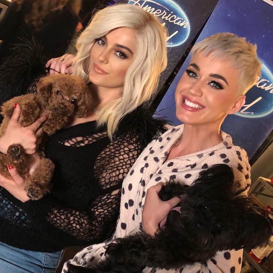 katyperryinfoo's tweet photo. Bebe Rexha has just released her new studio album "Dirty Blonde" on all streaming platforms, stream ✨

🖇️: https://t.co/hCZ8rBDrb2 https://t.co/pRYnYPX12r