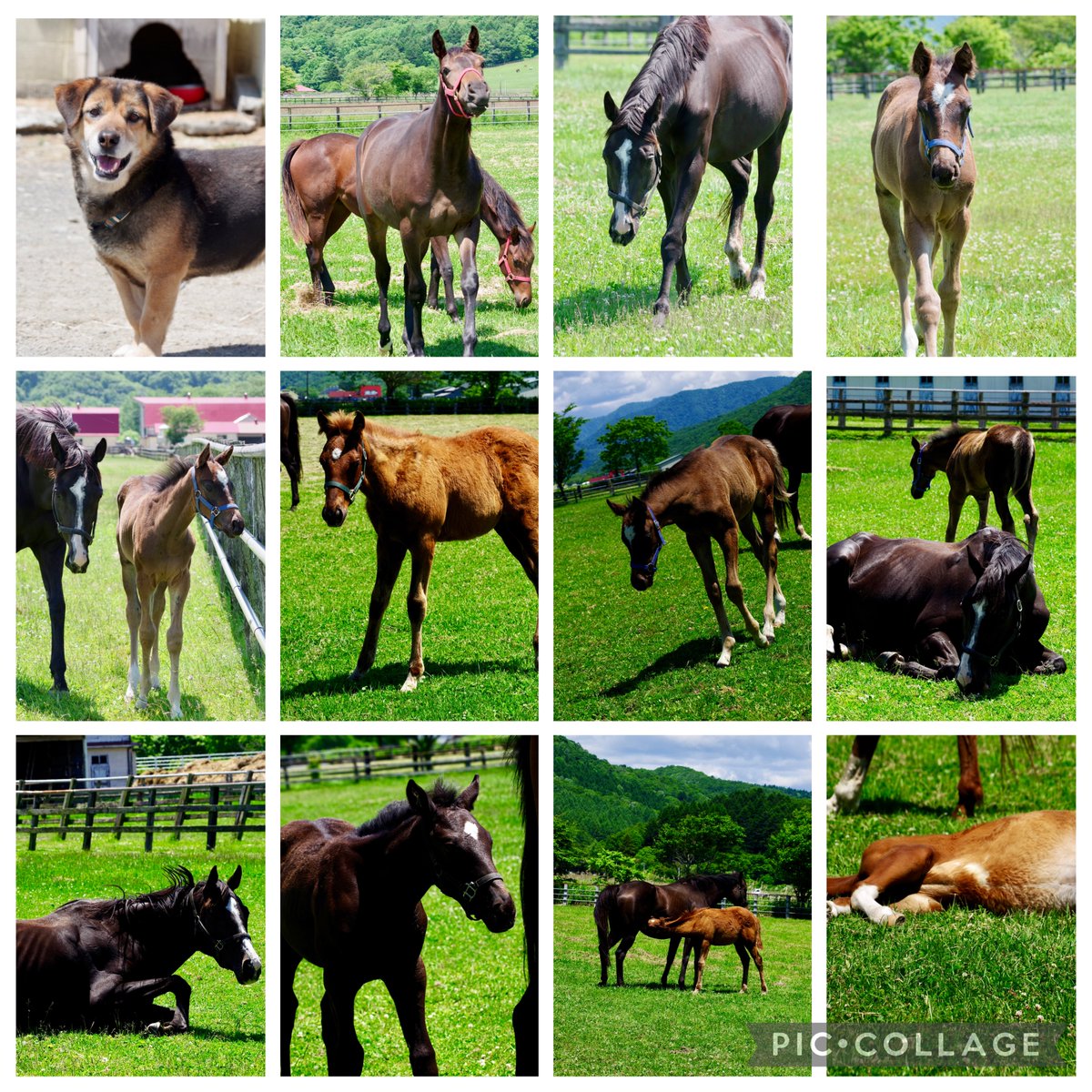 almond_liverty's tweet photo. 初めての夢の国🐎
沼にハマる予感しかない

#幸せな世界 https://t.co/t2P21q7Ga2