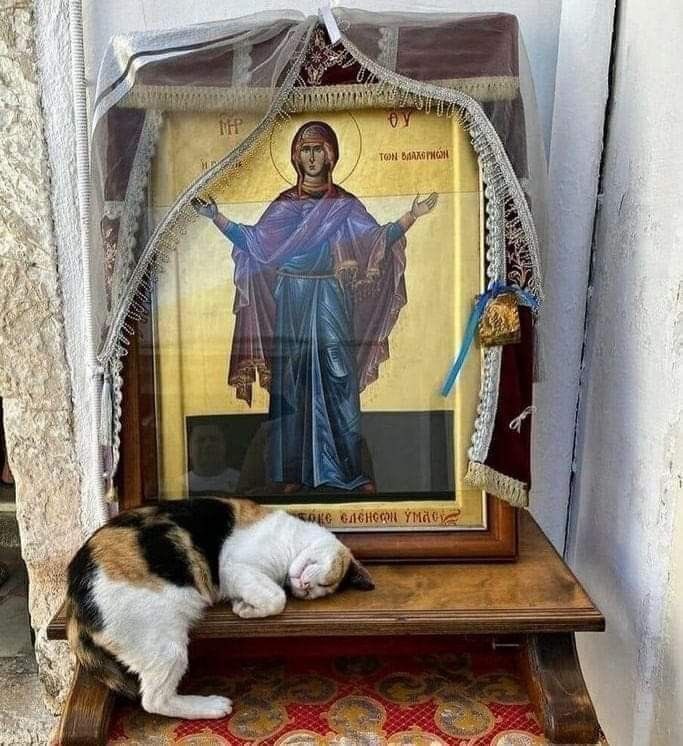 JonahInWales's tweet photo. 🙏🏻❤️☦️ https://t.co/KrNXQFslwF